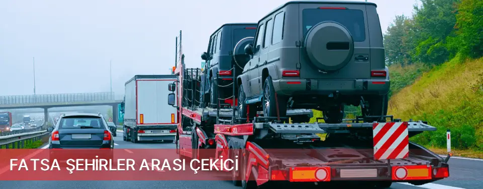 Fatsa İlçemi Şehirler Arası Çekici
